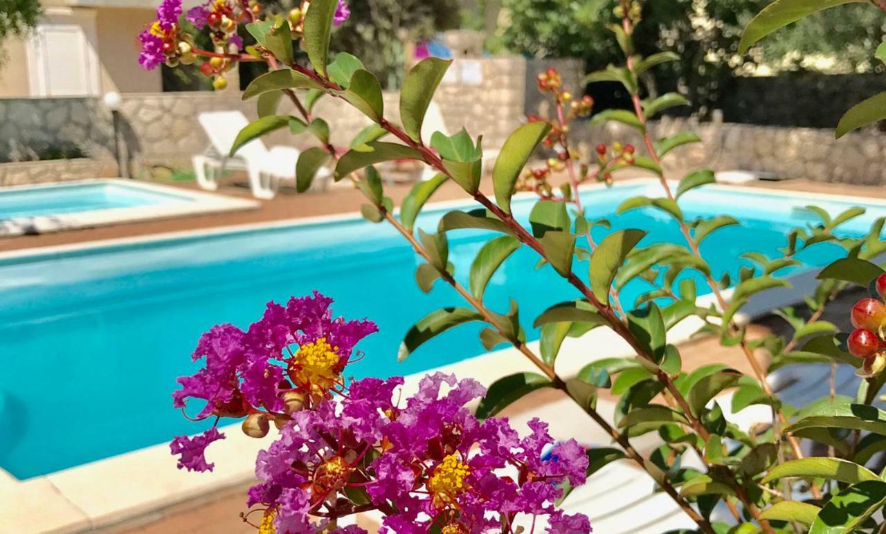 מאנדרה Apartments Villa Ana מראה חיצוני תמונה