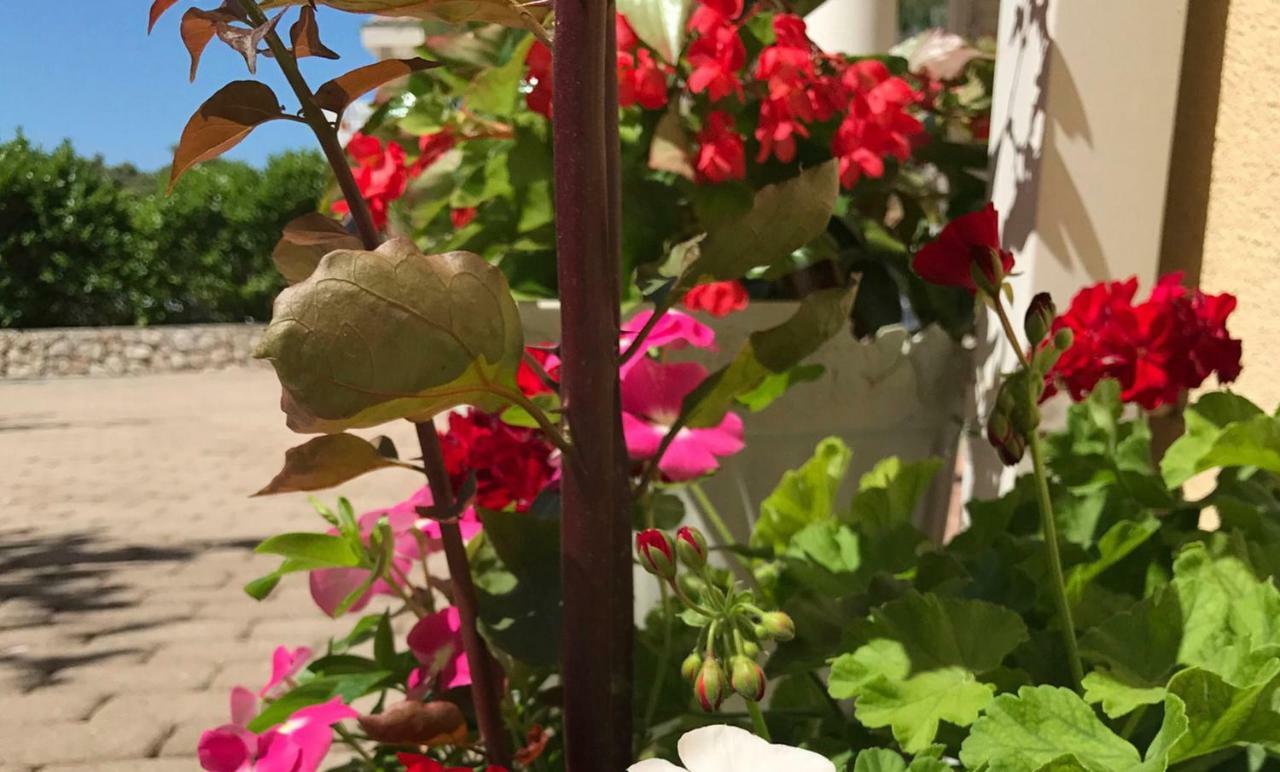 מאנדרה Apartments Villa Ana מראה חיצוני תמונה